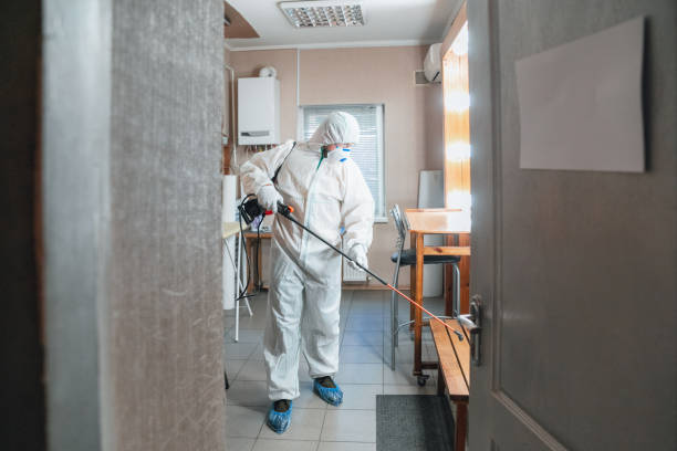 Best Black Mold Removal  in Lyman, SC