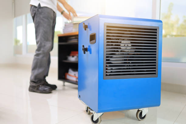 Best Environmental Consulting for Mold Prevention  in Lyman, SC