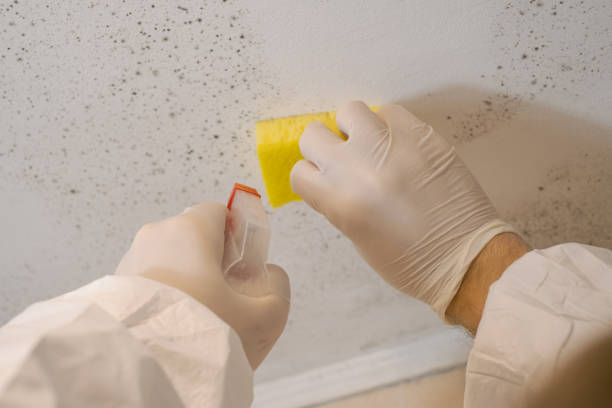 Best Forensic Mold Investigation  in Lyman, SC