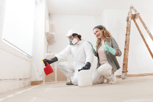 Best Mold Removal for HVAC Installations  in Lyman, SC