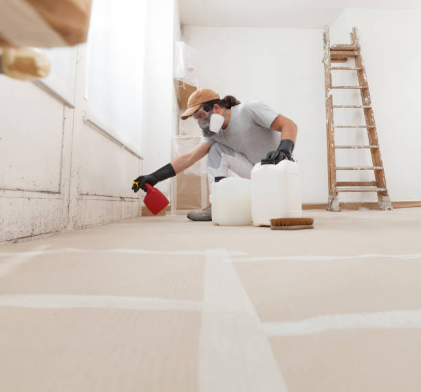 Best Air Quality Testing for Mold Spores  in Lyman, SC